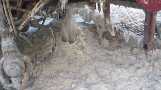 Drilling with foam