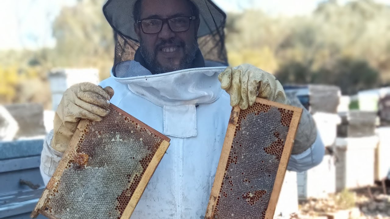 كي تتجنب شراء طرود إليك الطريقة .انها اسهل طريقة قسمة من دون ترحال ناجحه 100% النفضة الحسونية