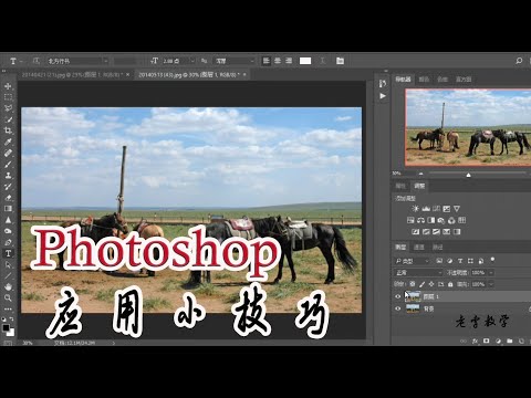 011 PS阴影高光调整,逆光中增加主体亮度。Photoshop:ボディの明るさを上げる。PS: increase the brightness of the body. 피사체의 밝기를 높입니다.