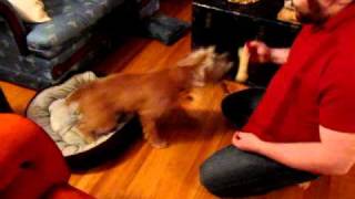 Finley learning to "Hold It" screenshot 4