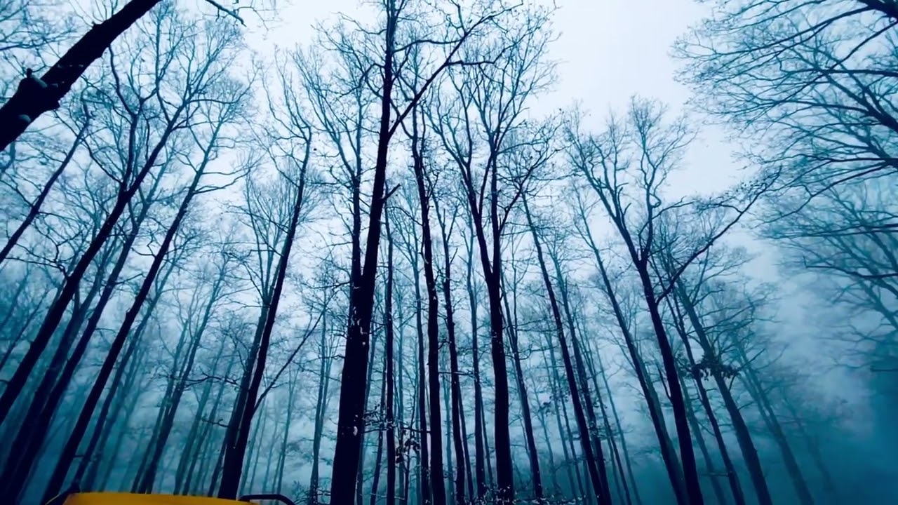 I.O.A.N.N. - PEACE ( Lyric video)