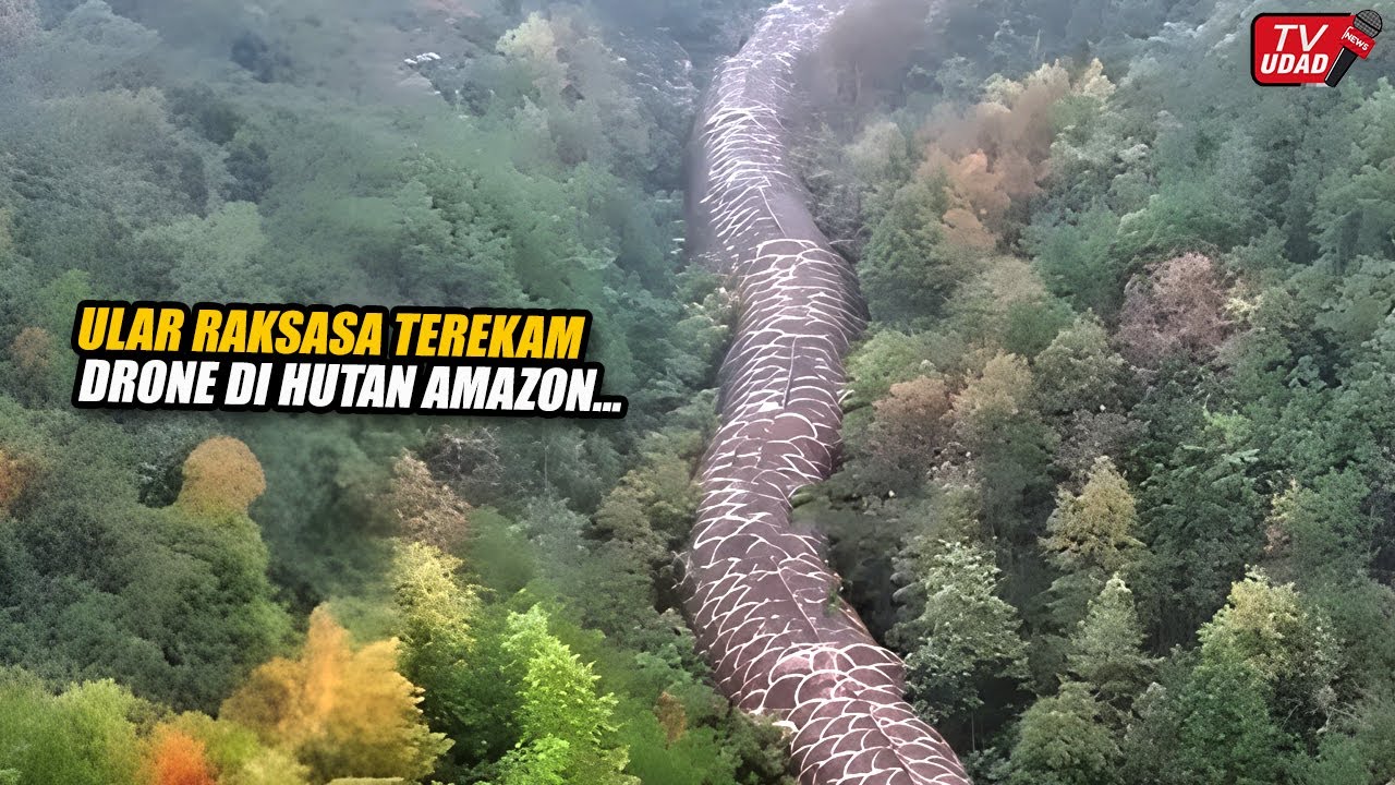 Viral Pilot Drone Rekam Ular Raksasa Sepanjang 60 Meter Muncul di Lembah Amazon, Hebohkan Dunia...