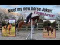 TRYING HORSES 2021 & MY NEW HORSE! (voiceover)