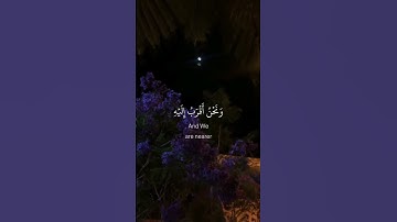 طارق محمد |حالات واتس اب قران 🌸🖇️|| حالات واتس قرأن || تلاوة خاشعة || Quran Status🖇️🌸 اية قرانية