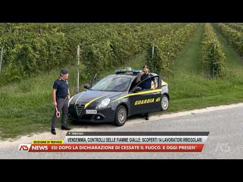 A3 NEWS TREVISO | 10/10/2025
