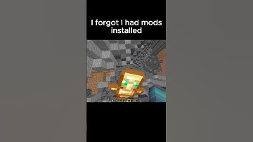 Minecraft Totem Moment | #shorts #minecrafthorrormods  #minecraft