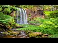 Beauchamp Falls, Great Otway National Park, Victoria, Australia