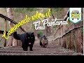 El acceso más fácil al Pantanal | Estrada Parque Pantanal | Episodio #65 | Brasil