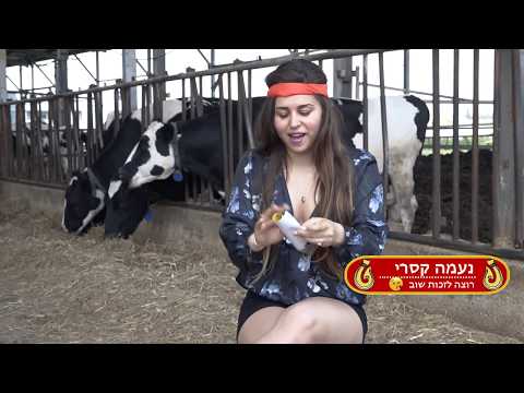 פסטיבל שובר מסך 29.5.19 הישרדות ברפת - הכניסה בחינם