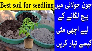 جون جولائی میں بیچ لگانے کے لیے اچھی مٹی کیسے تیار کریں/Best soil for seedling