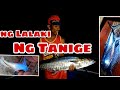 Tanige Huli sa balahibo ang pain Paano ito gamitin Amazing Traditional Handline Fishing
