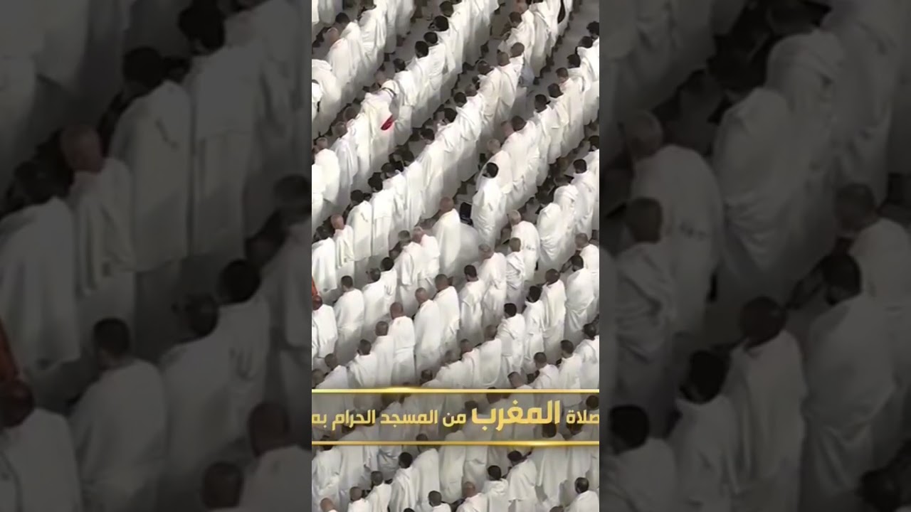 مغرب 22 شوال #بندر_بليلة #تلاوة_خاشعة #قران_كريم