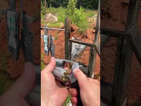 Taurus 327 Magnum FPV