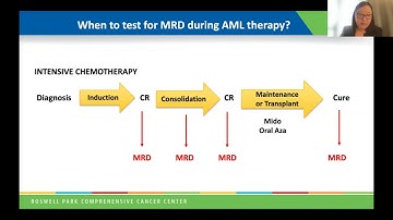 Decision-Making in AML: What