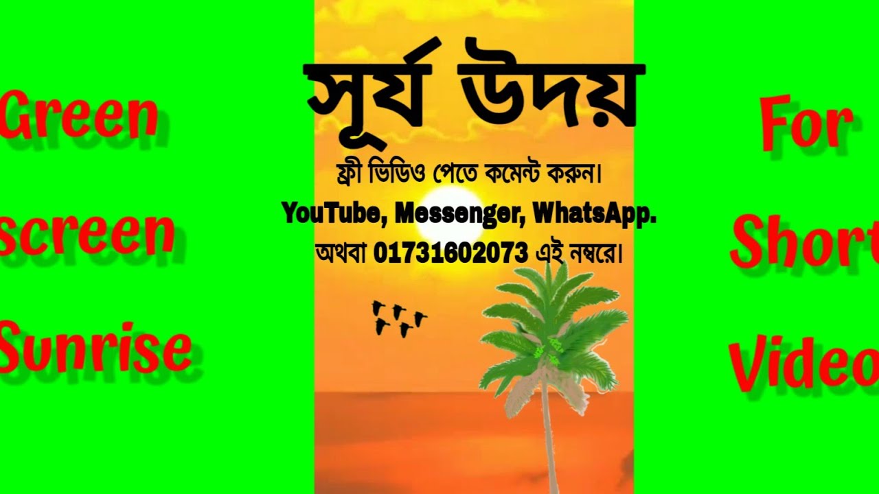 Green screen Sunrise shorts copyright free. 