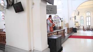 Final Blessings (Pentecost Mass 2015) screenshot 3