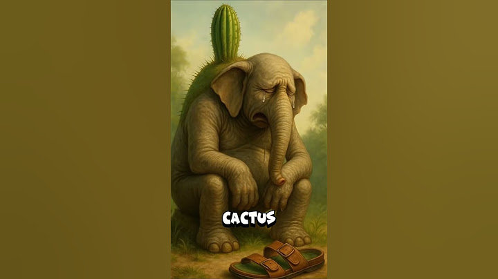 LITTLE LITTLE 🐘 @SeñorWtF
