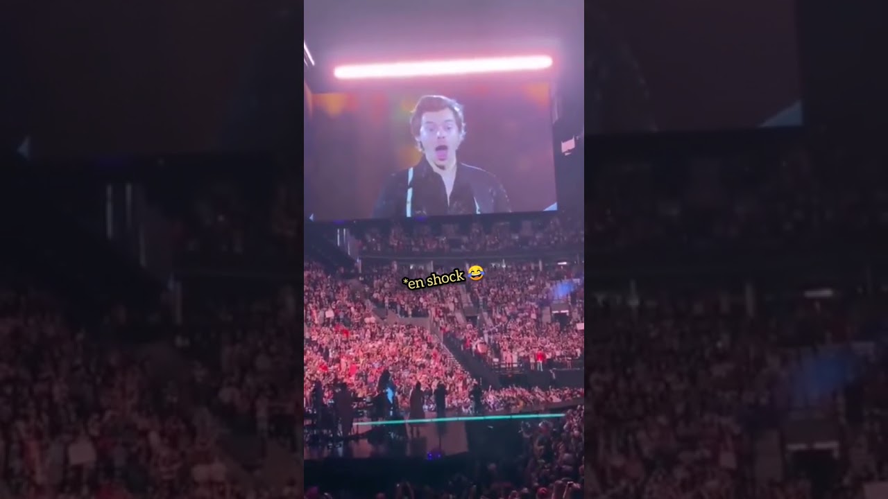 Una pareja se comprometió en un concierto de Harry Styles 🥰