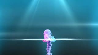 Şadyýan Dert Gecesi Gitara