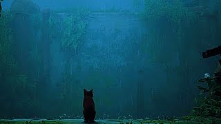 Stray Full Ost Rain Ambience Mix Sleep, Study, Relax