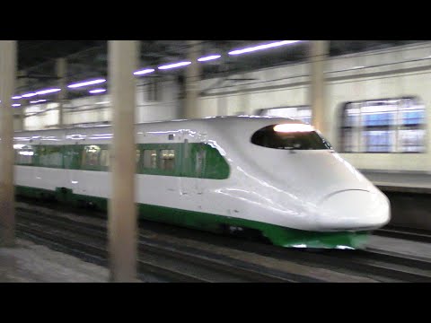 200系カラーE2系J66編成 上越新幹線とき335号【4K】
