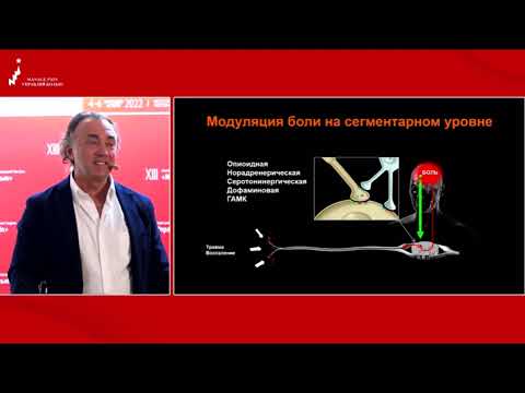 Ацетилхолин - Ко-Анальгетик и восстановление нервов