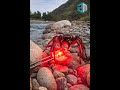 led rojo 5mm  #2mtechperu #huánuco
