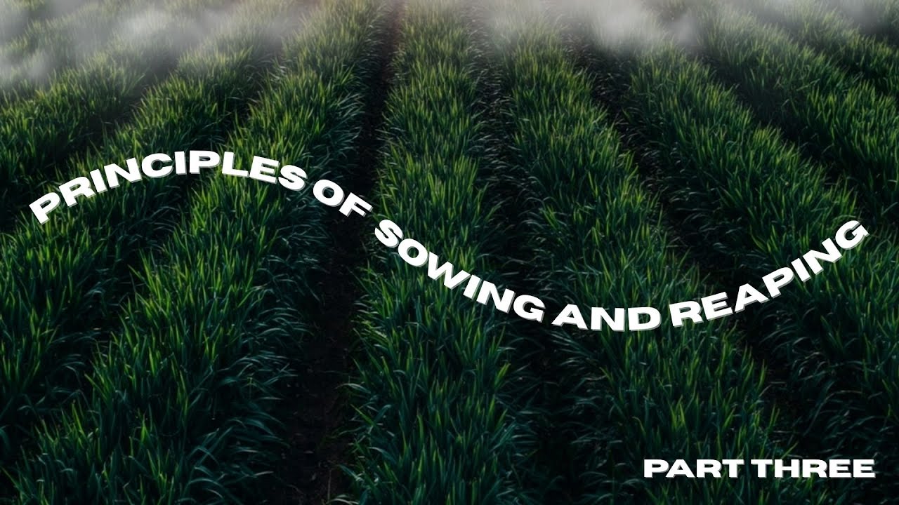 Principles of Reaping and Sowing  - Sunday service