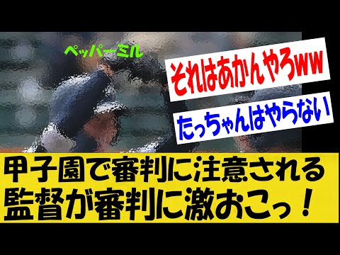 【WBC】甲子園でペッパーミルが大問題に！監督「納得いかない‼」で波紋【なんＪ反応】