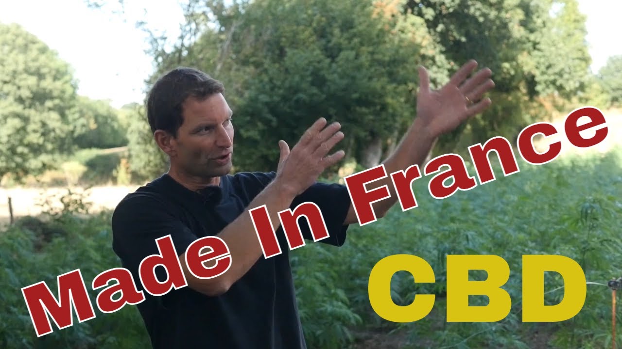 Le problème des Producteurs de CBD Français - Produire en France ?