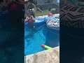 Long-range foam water blasters that turn the backyard into an instant water park
