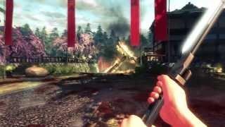 Shadow Warrior in a nutshell Details