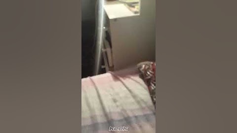 سورة الفاتحة ، تقليد صوت القارئ ماهر المعيقلي