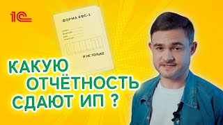 Какую отчетность сдают  ИП