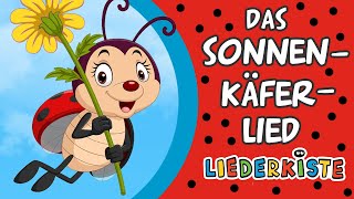 Video thumbnail of "Das Sonnenkäferlied (Erst kommt der Sonnenkäferpapa) - Kinderlieder zum Mitsingen | Liederkiste"