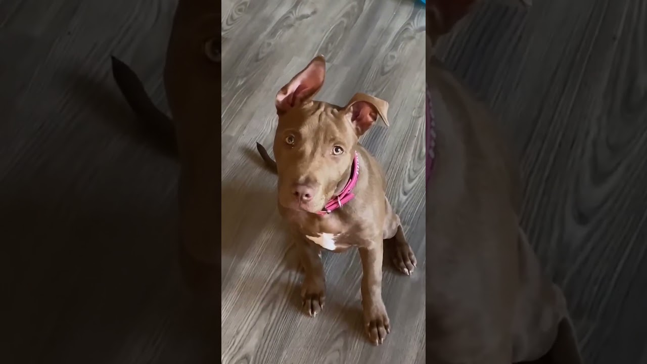 Hope versus reality. 