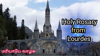 Holy Rosary from Lourdes || English Rosary || 17.05.2024
