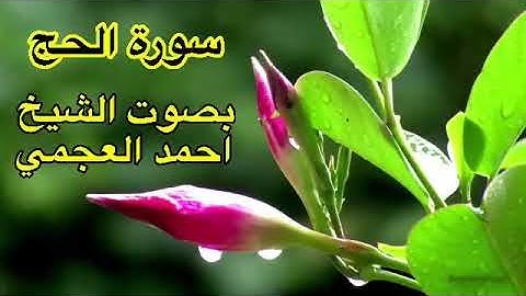 سورة الحج كاملة بدون اعلانات بصوت الشيخ احمد العجمي