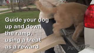 How To Use The Petstep Ramp