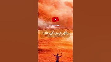 #بسم_الله_الرحمن_الرحيم#خدا_خوب#الله#خدا#قرآن#ایمان#خداوند#آسمان#زمین#کلیپ#زن#مسجد#نازل#سوره#مریم