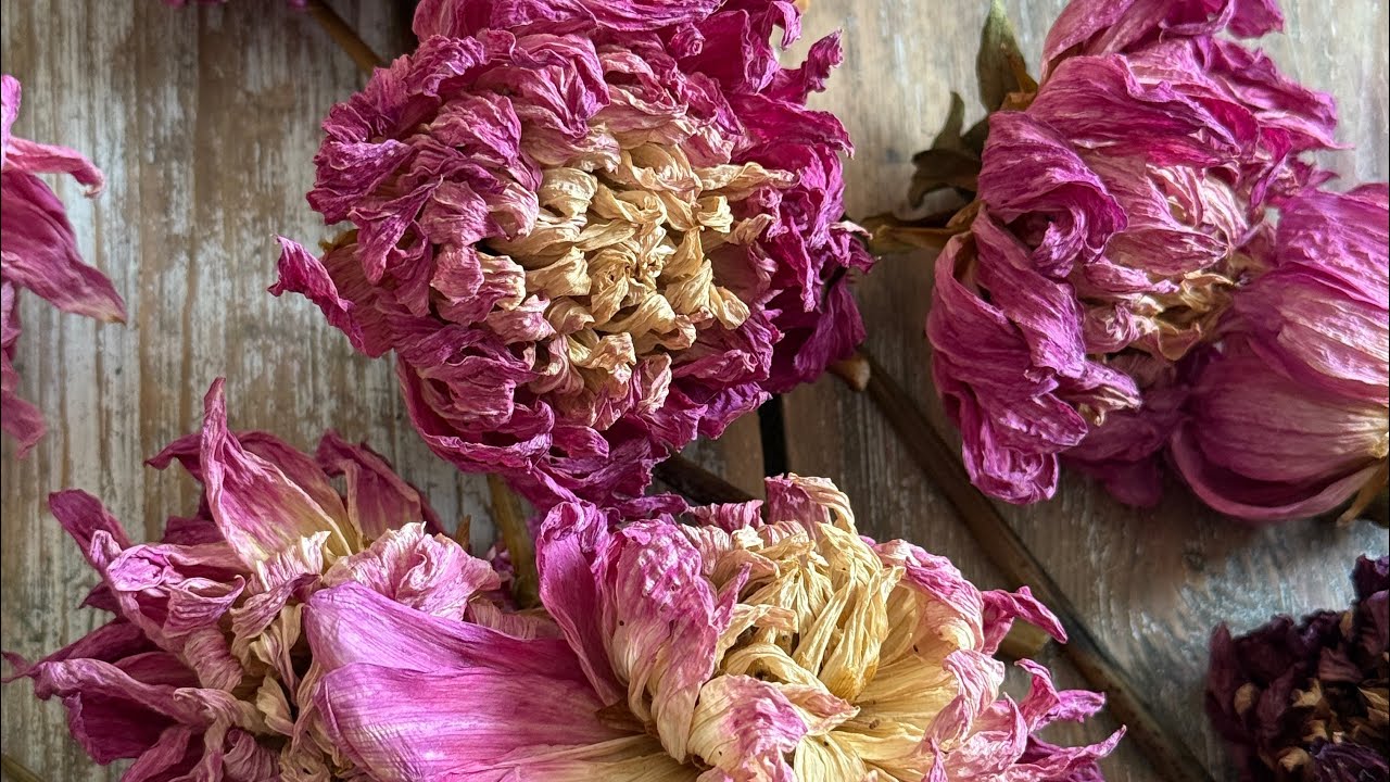 Домашний томатный суп и выпечка хлеба на закваске