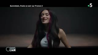 Eurovision : chansons, boycott et exclusion !  Reportage #cdanslair 11.05.2024