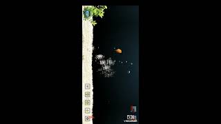 iQuarium - карманный аквариум. Обзор игры. screenshot 3