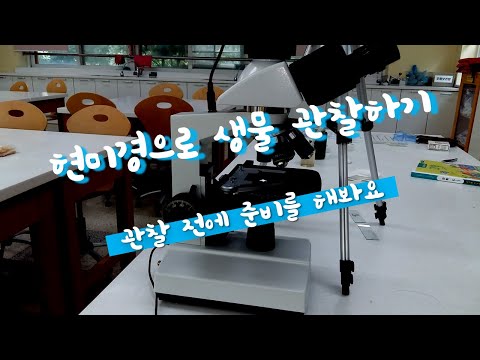 현미경을 이용해 원생생물 관찰하기1 (현미경 사용 방법 익히기, 관찰 준비하기)