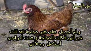 هل تعلم قصه سليمان عليه السلام مع الحية الخبيثه ؟؟ من اروع القصص