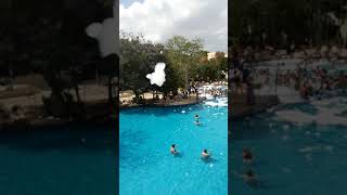 Play video: 27 December 2019