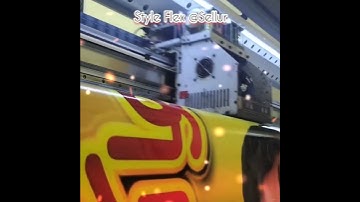 StyleFlex | Sellur | 25PL 4 Head Starfire | Flex Printing #Styleflex #Starfire #SG1024