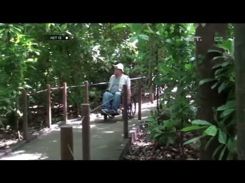 Video: Info Taman Nasional untuk Penyandang Disabilitas