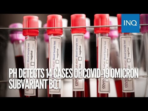 PH detects 14 cases of COVID-19 Omicron subvariant BQ.1