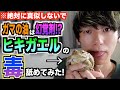 ガマの油とLSD。多幸感・弱サイケ。強烈な痺れ、視覚残像エフェクト。※毒です絶対に真似しないでください。